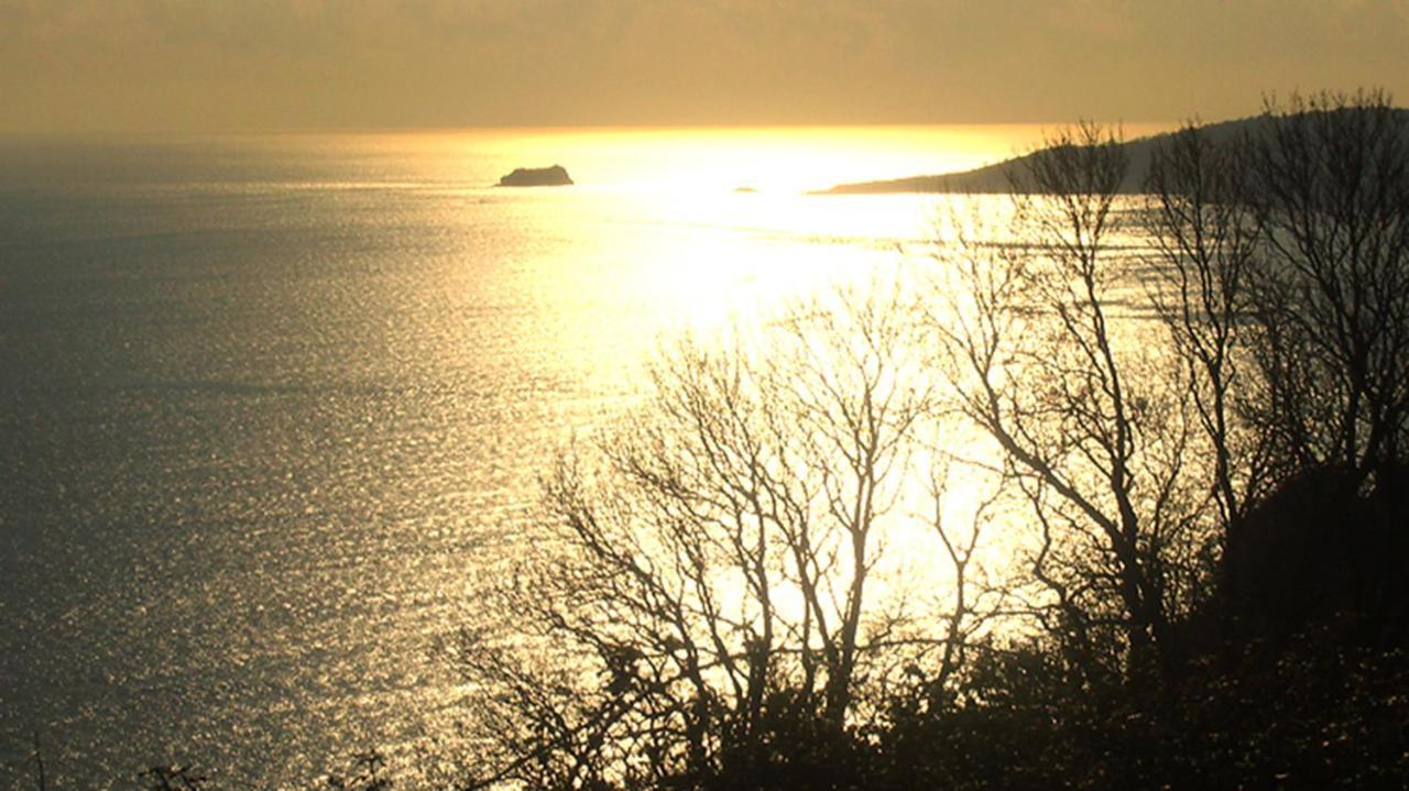 Beautiful Seaside One Bedroom Apartment Shaldon Exteriör bild