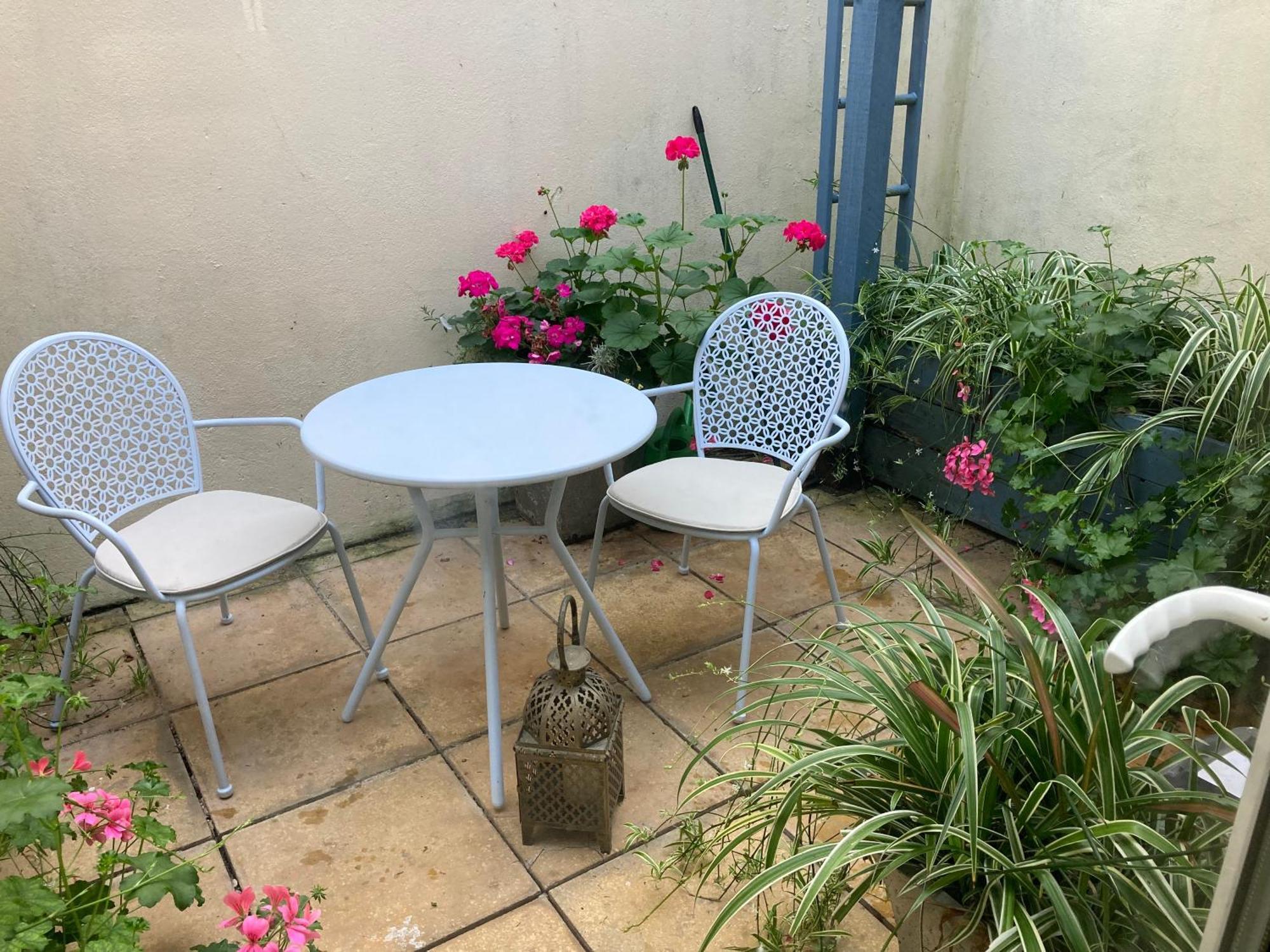 Beautiful Seaside One Bedroom Apartment Shaldon Exteriör bild